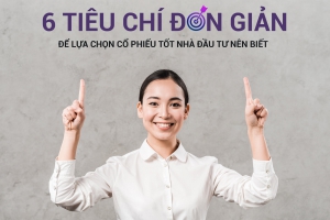 6 TIÊU CHÍ ĐƠN GIẢN ĐỂ LỰA CHỌN CỔ PHIẾU TỐT NHÀ ĐẦU TƯ NÊN BIẾT
